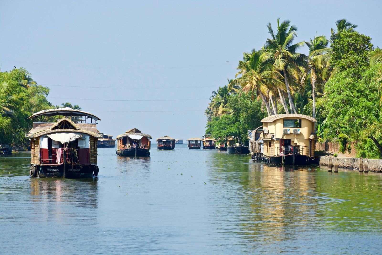 8 days kerala tour packages cochin kochi munnar thekkady periyar wildlife tiger reserve alappuzha alleppey backwater houseboat tourism india