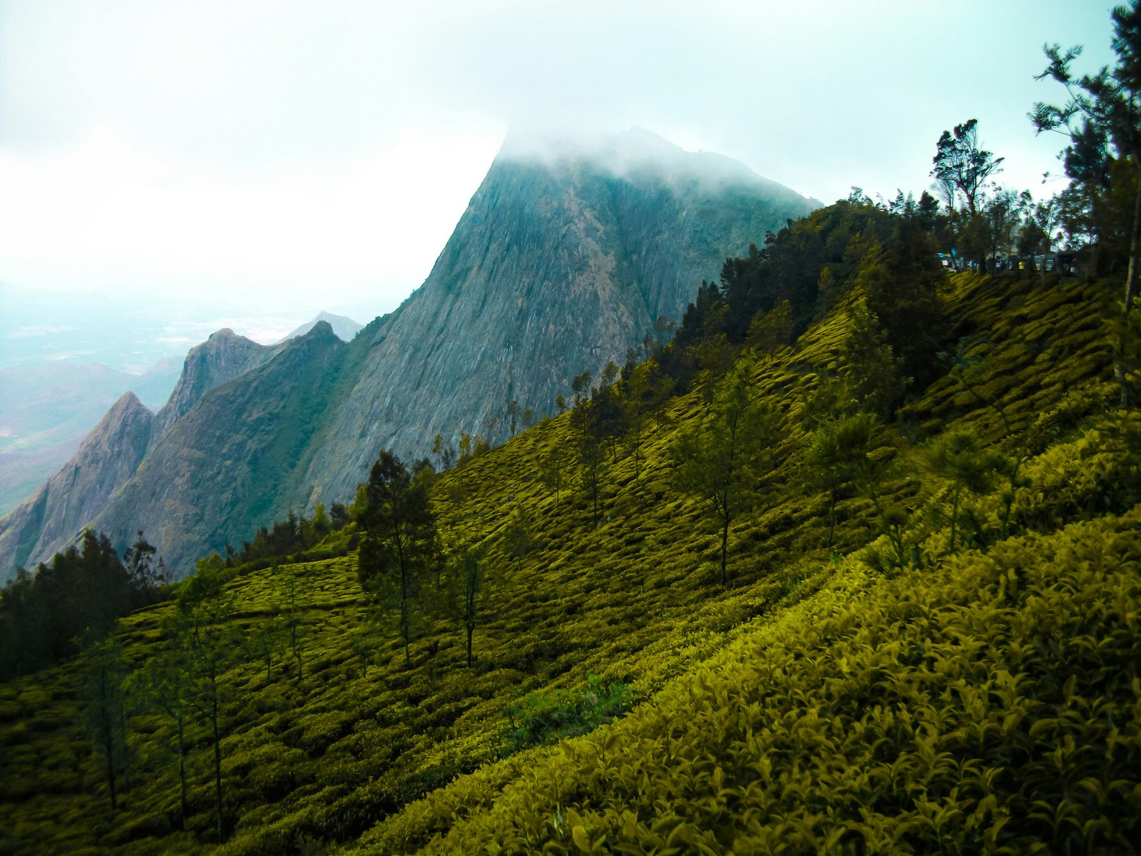 kerala hill station and backwater tours honeymoon packages adventure tours cultural and scenic tours