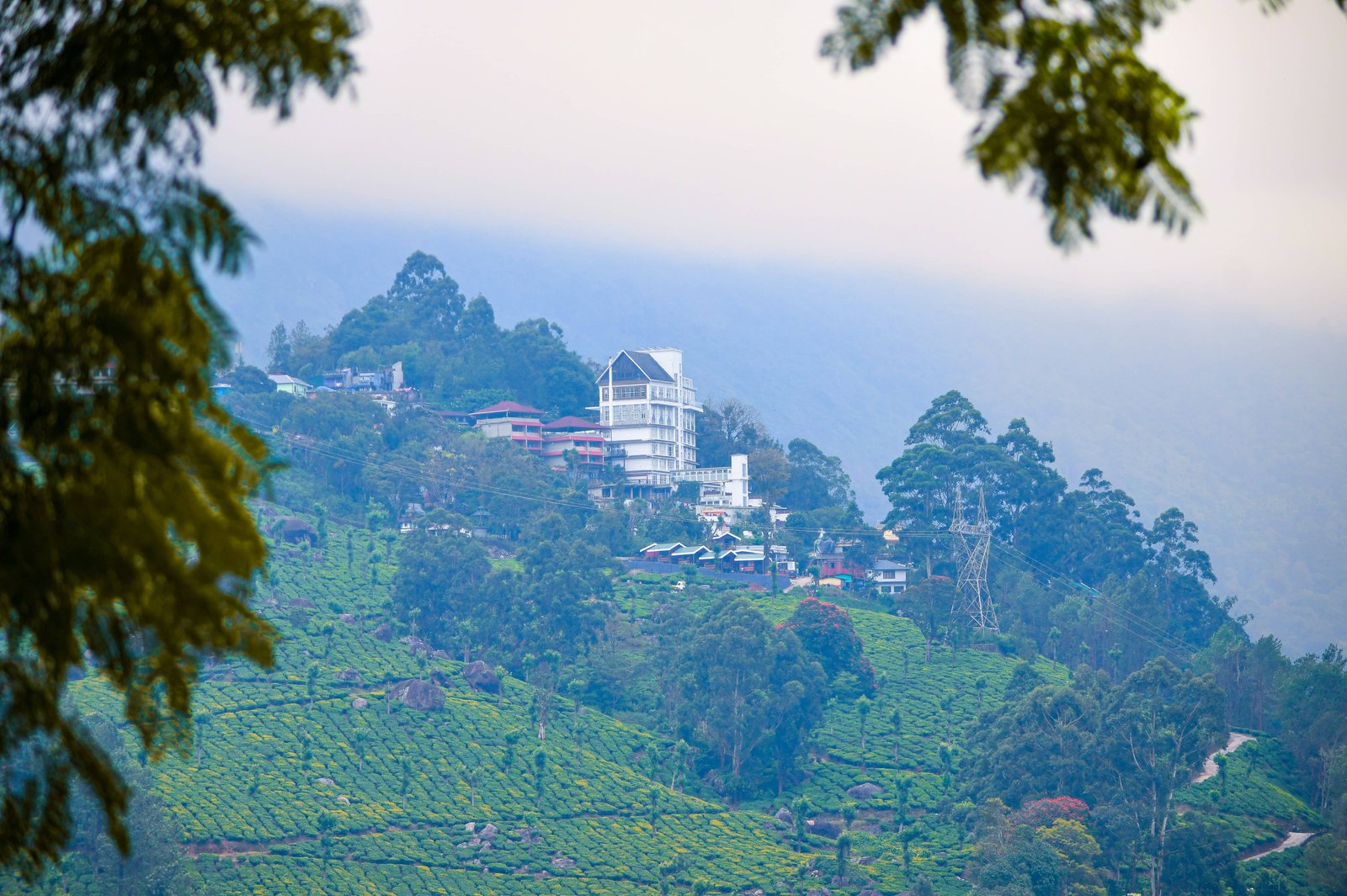 munnar tour western ghats neelakkurinji kerala honeymoon packages india