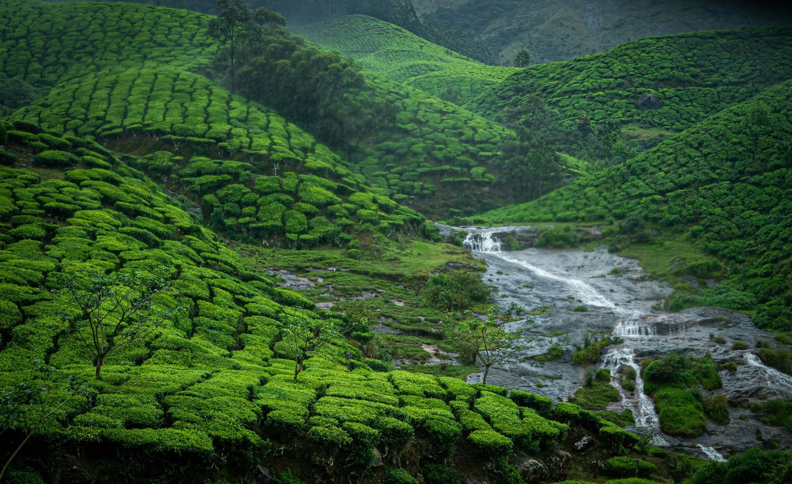 honeymoon packages kerala india backwater trip houseboat tour