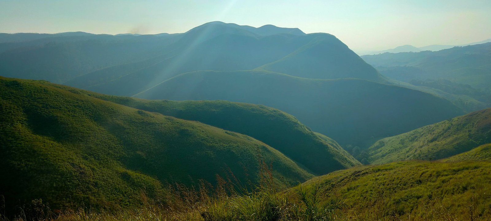 wildlife tour package kerala periyar tiger reserve national park india