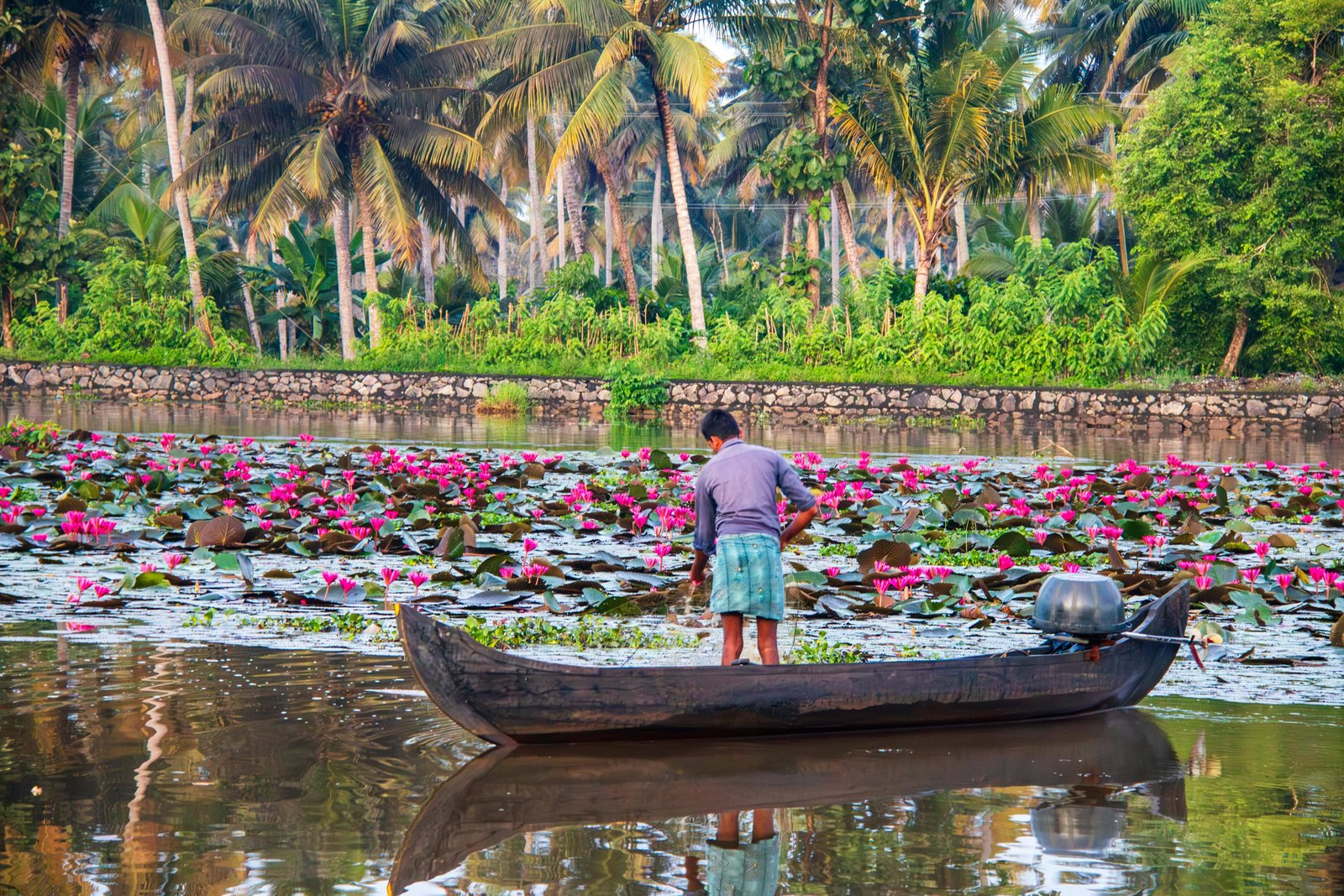 kerala hill station and backwater tours honeymoon packages adventure tours cultural and scenic tours